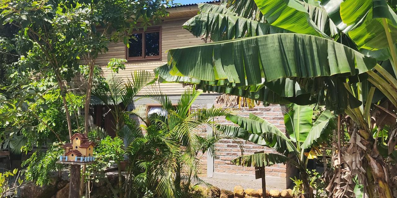 Apartment Bangalo Do Rio -